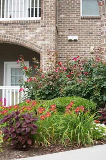 A flower bed in front of a brick house.